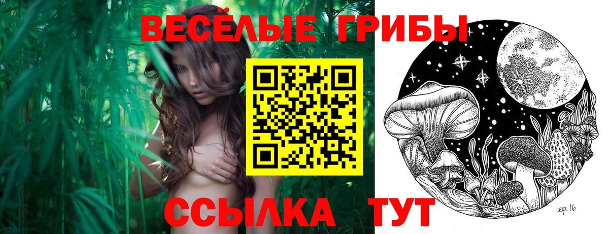 Галлюциногенные грибы мухоморы Таганрог